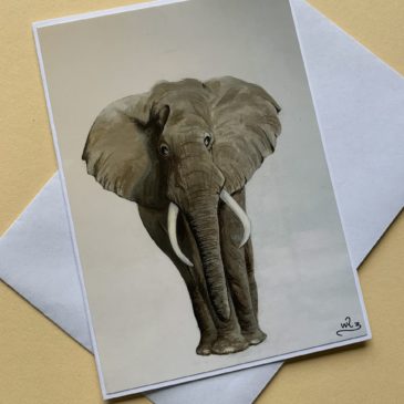 Elefant – pur
