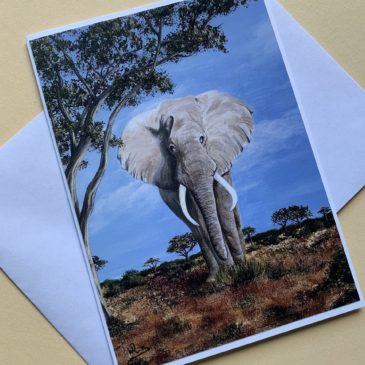 Elefant II