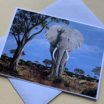Elefant