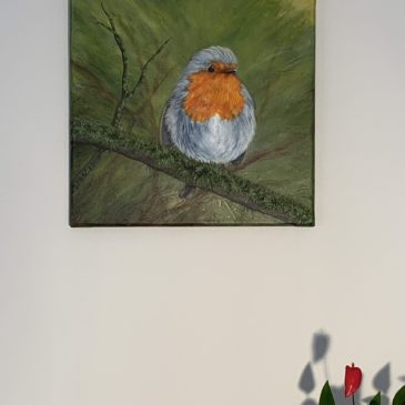 Rotkehlchen
