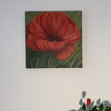 Roter Mohn