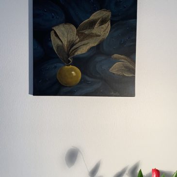 Physalis