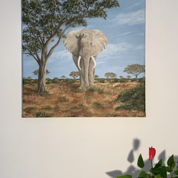 Elefant