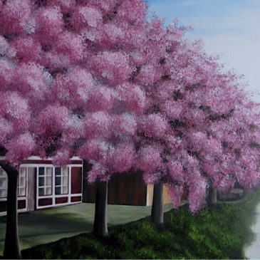 Zierkirschenblüte Jork Borstel