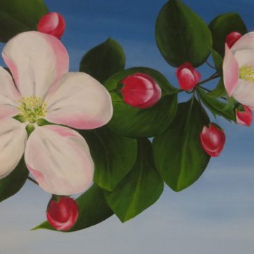 Obstblüte