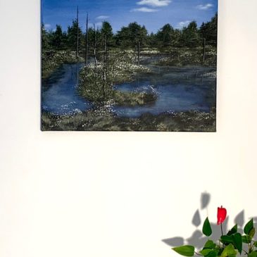 Lüneburger Heide – Pietzmoor