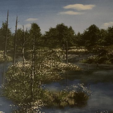 Lüneburger Heide – Pietzmoor
