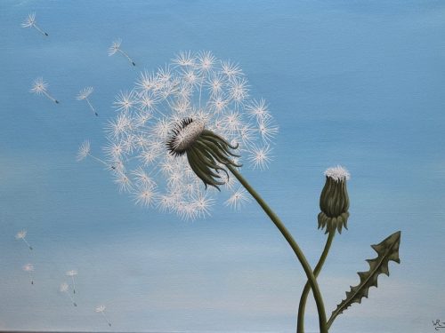 wehende Pusteblume